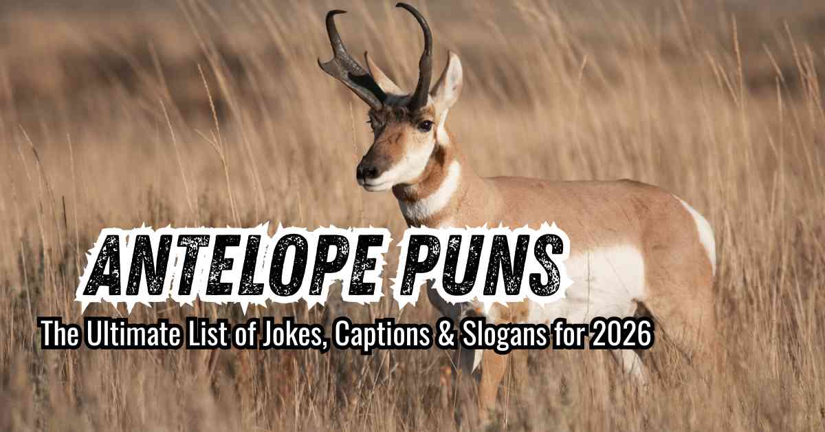 Antelope Puns