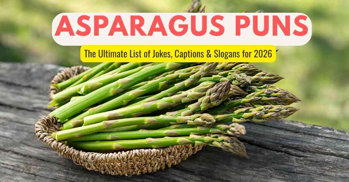 Asparagus Puns