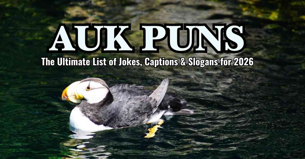 Auk Puns