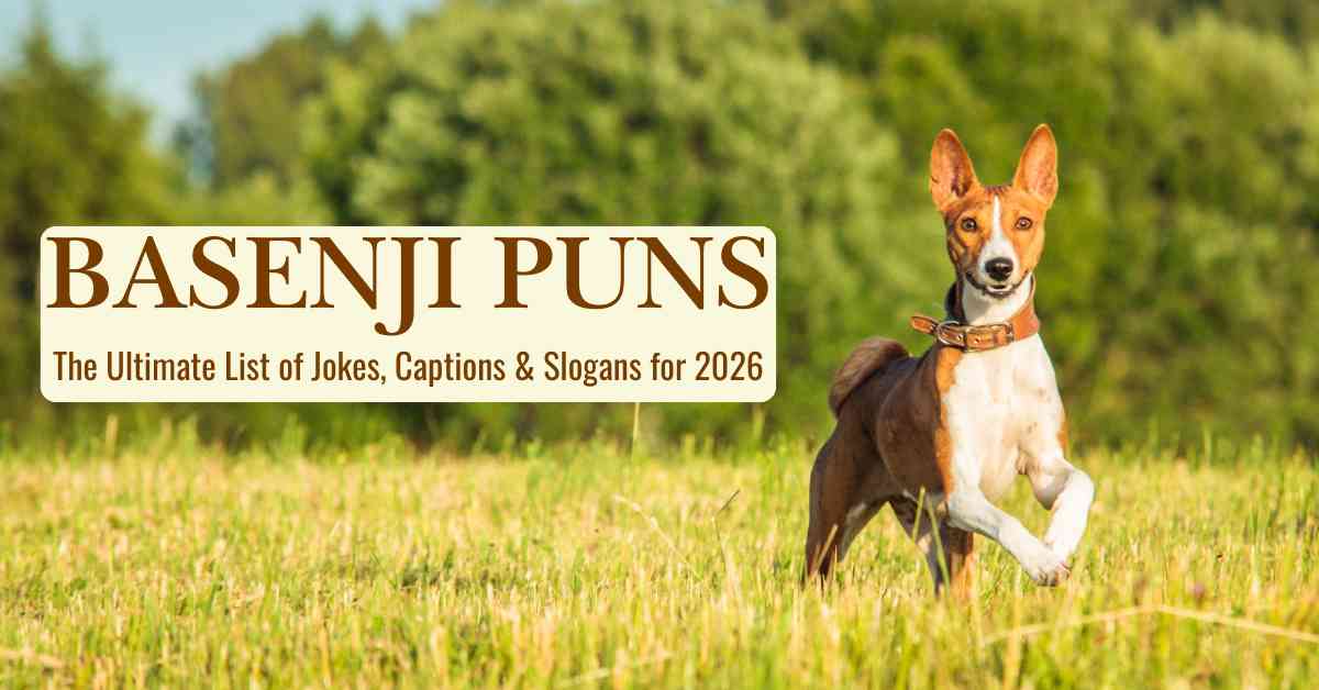 Basenji Puns