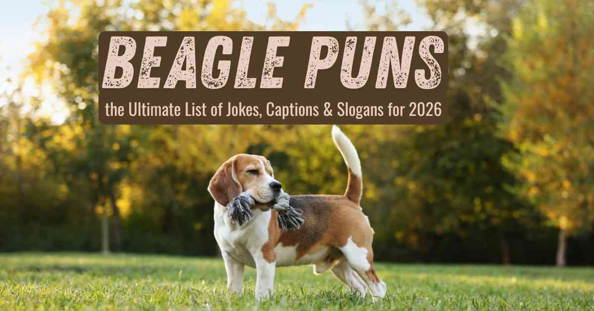 Beagle Puns