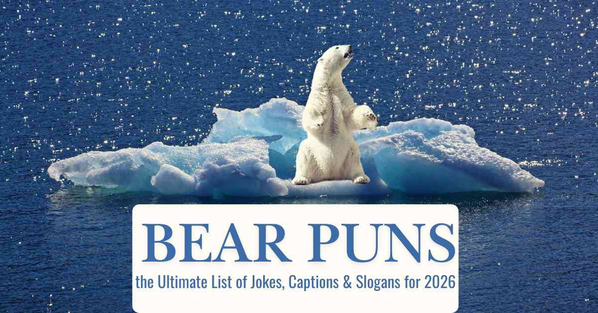 Bear Puns