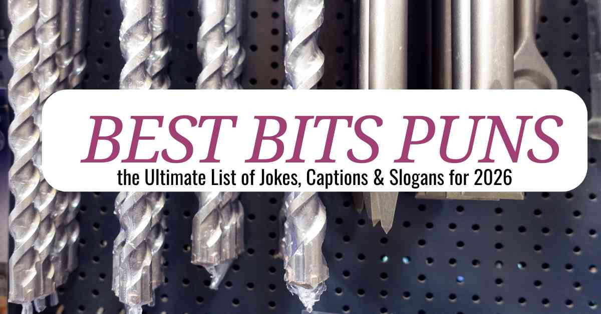 Best bits Puns