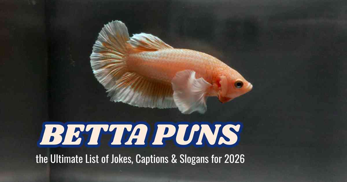 Betta Puns