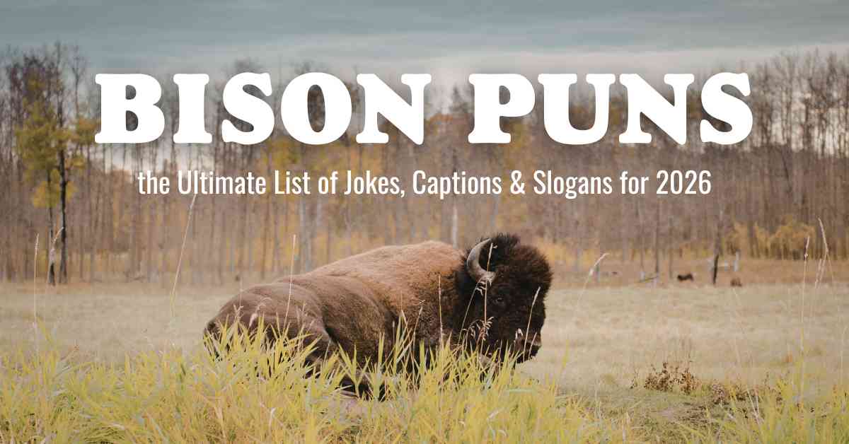Bison Puns