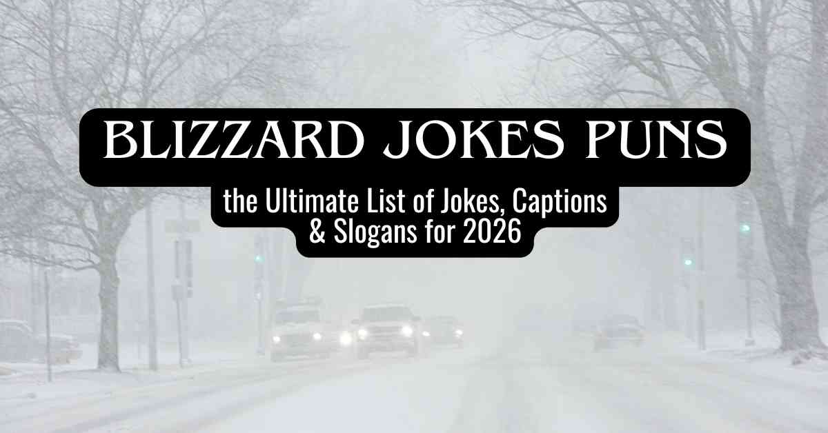 Blizzard Jokes Puns