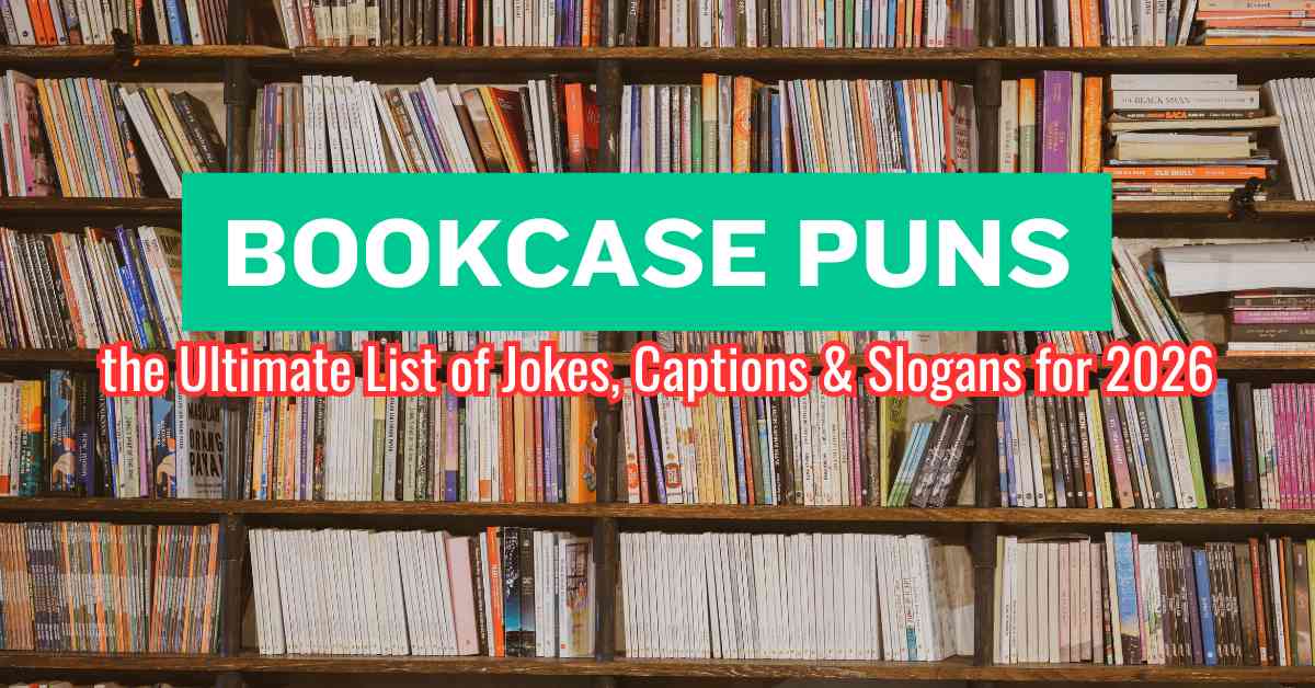 Bookcase Puns