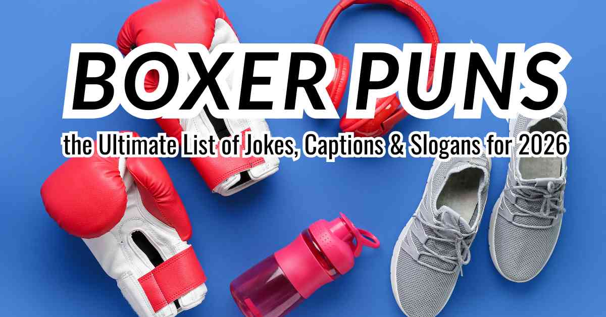 Boxer Puns