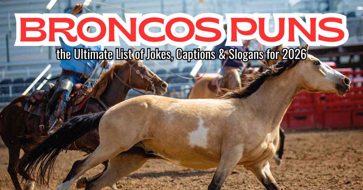 Broncos Puns