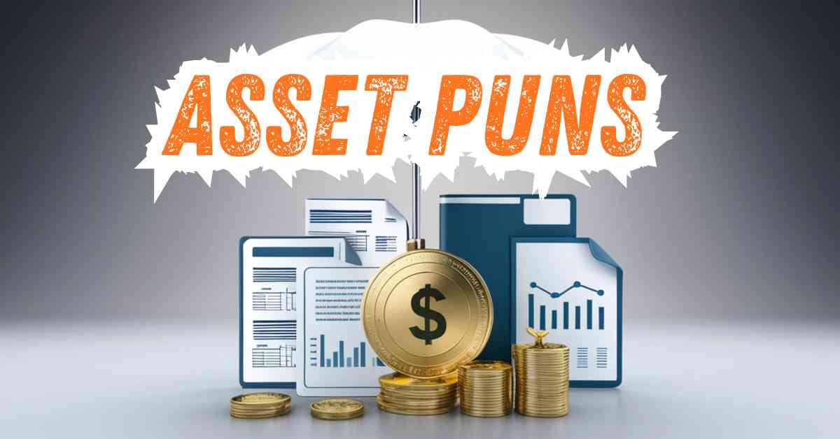 asset puns