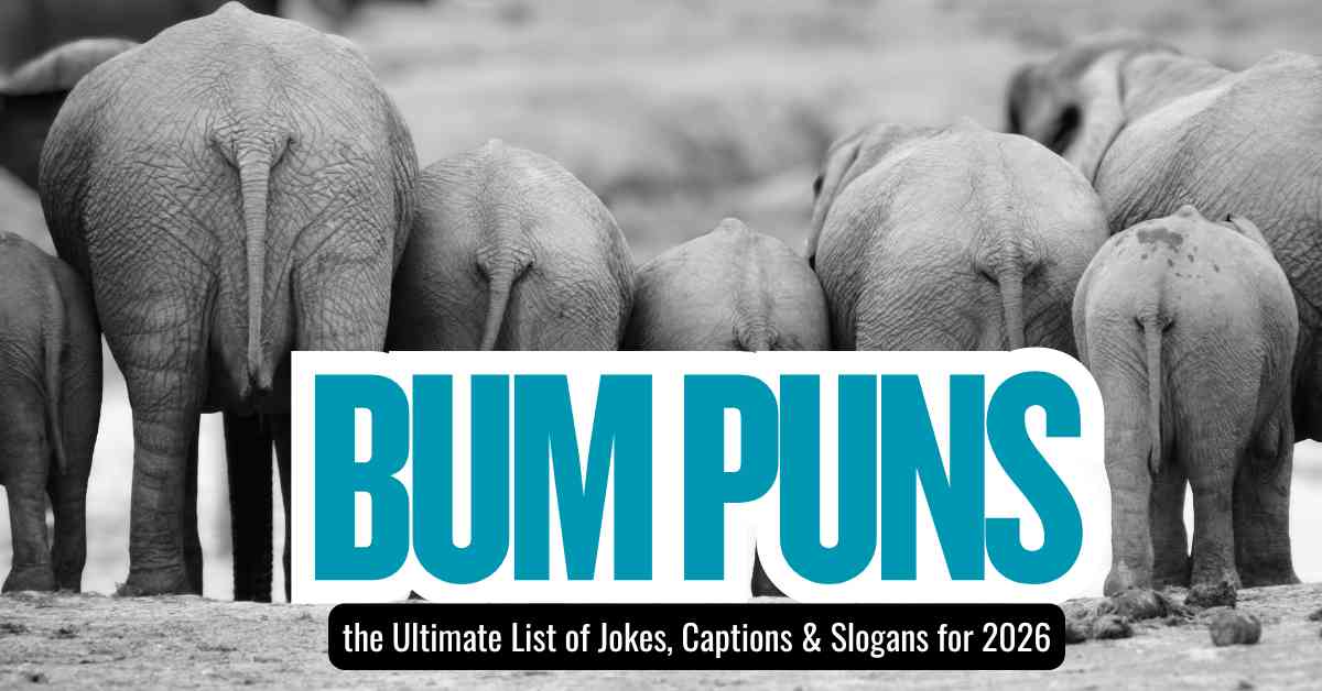 Bum Puns