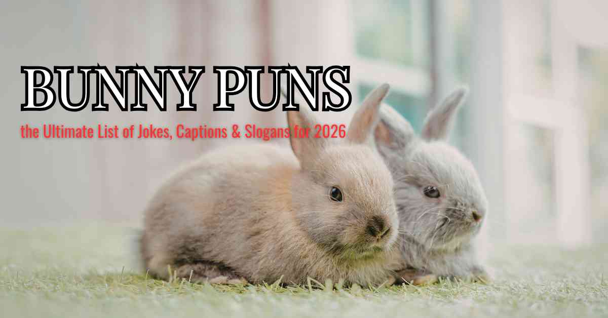 Bunny Puns