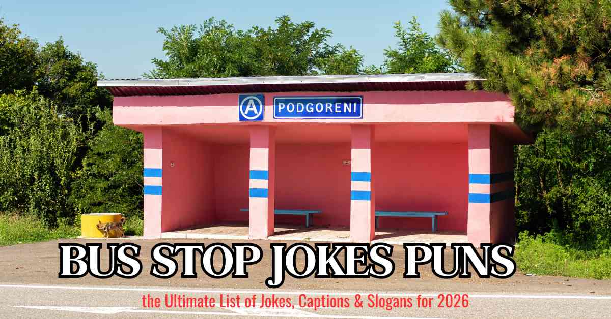 Bus Stop Jokes Puns