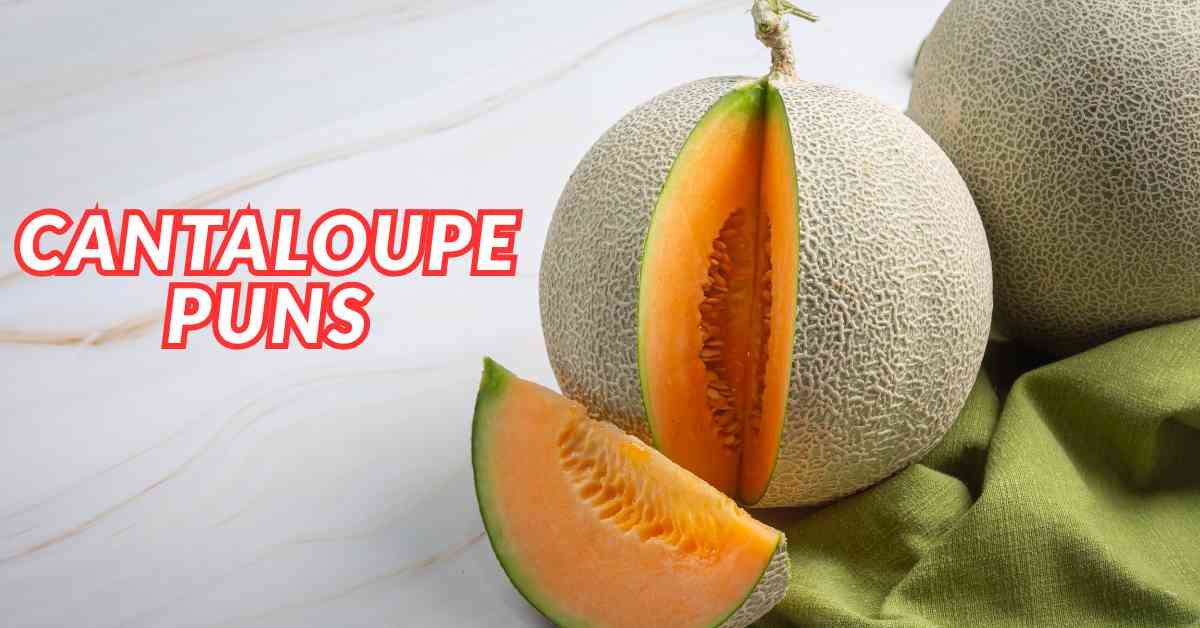 Cantaloupe Puns