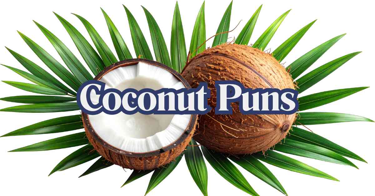 Coconut Puns