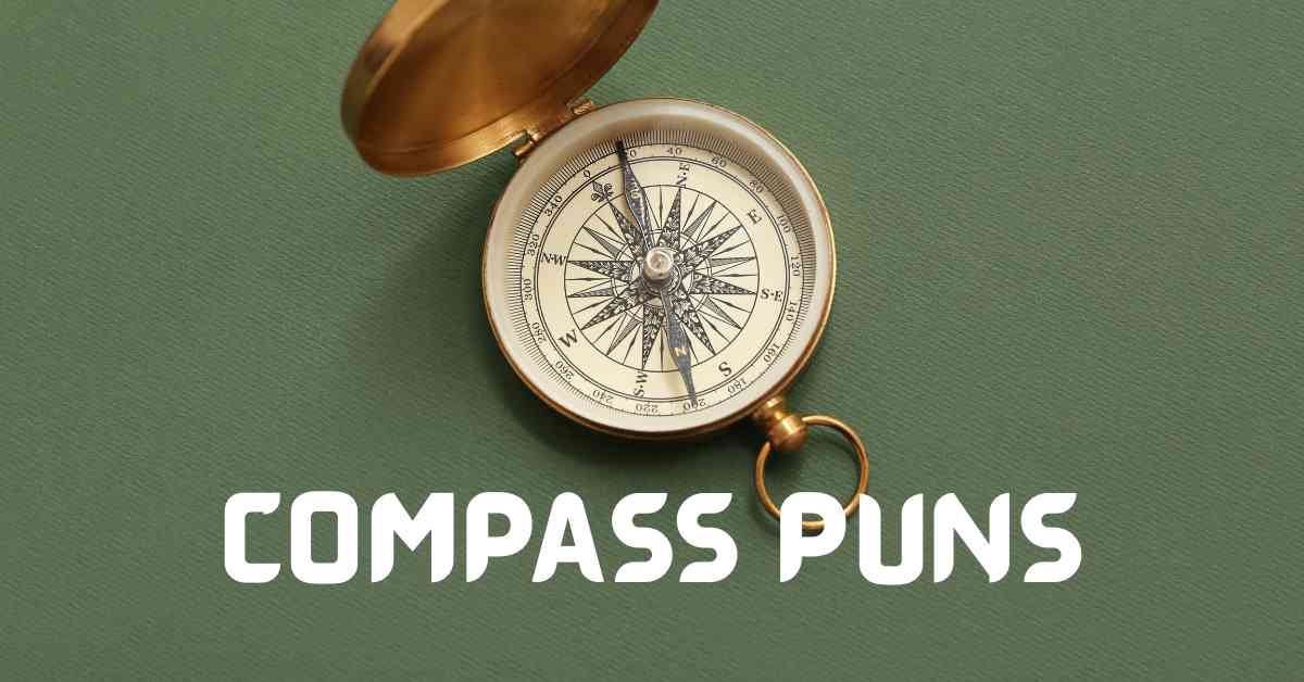 Compass Puns