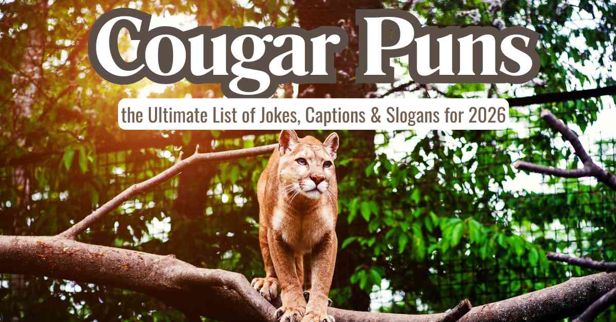 Cougar Puns