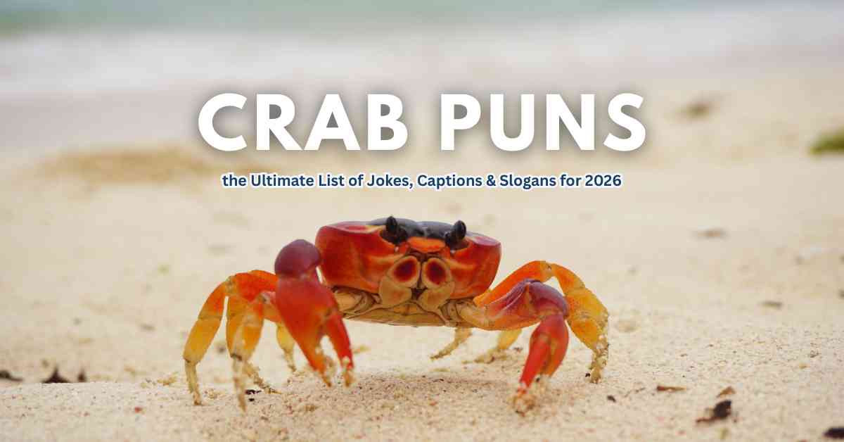 Crab Puns